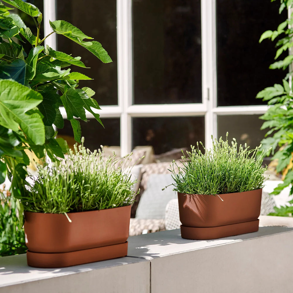grand pots de fleurs et grande jardiniere, bac de fleur. jardiniere pour tomate.grand pot de fleur pour plante extérieur. Pot de fleur couleur marron glacé  tres moderne avec un réservoir d 'eau.  Pot de fleurs grande taille.