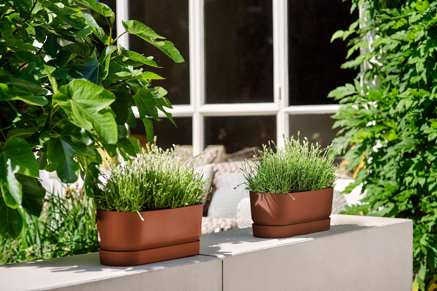 grand pots de fleurs et grande jardiniere, bac de fleur. jardiniere pour tomate.grand pot de fleur pour plante extérieur. Pot de fleur couleur marron glacé  tres moderne avec un réservoir d 'eau.  Pot de fleurs grande taille.