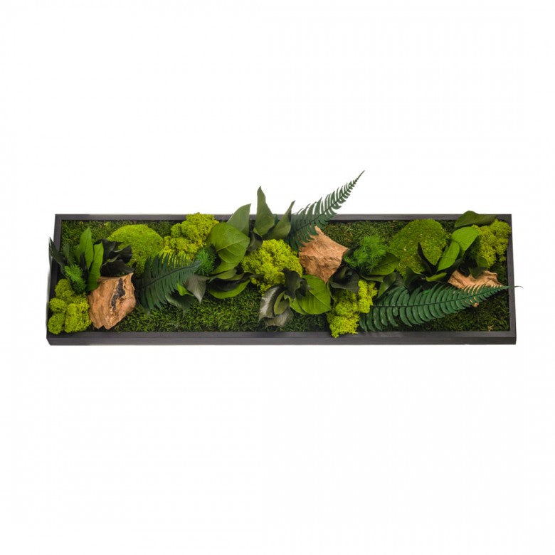 Tableau végétal stabilisé cadre noir - KIPOK cadre végétalisé a accrocher au mur ou poser.