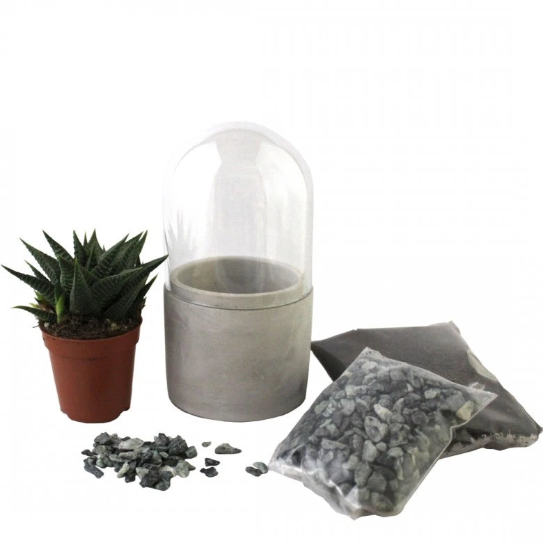terrarium en kit avec gravier, plante et bocal  en verre forme de cloche. Kit terrarium DYI facile a réaliser. Kipok. Livraison rapide.