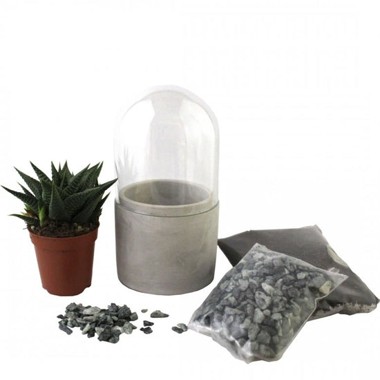 terrarium en kit avec gravier, plante et bocal  en verre forme de cloche. Kit terrarium DYI facile a réaliser. Kipok. Livraison rapide.