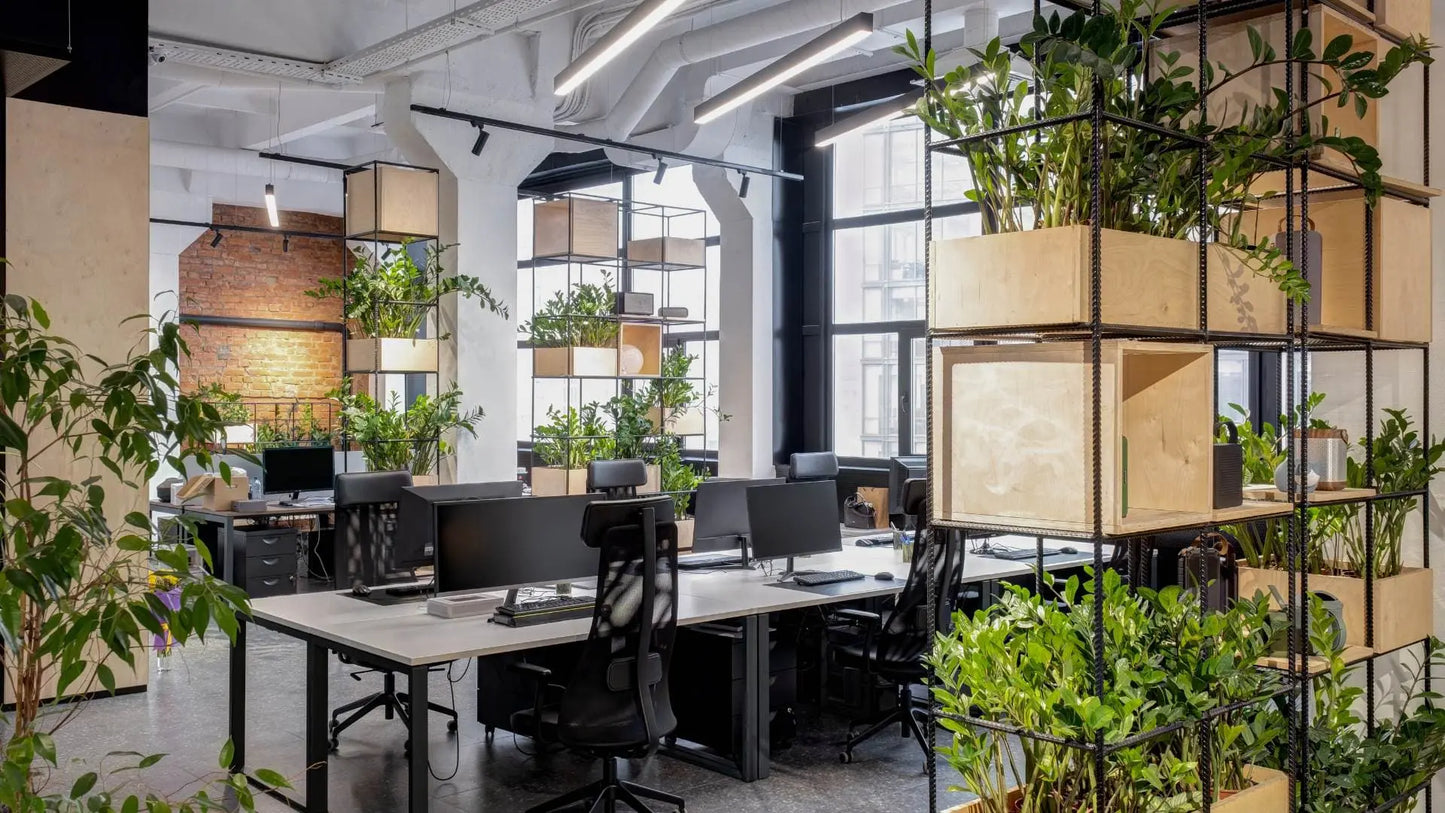 decoration vegetal avec plantes et tableaux végétaux stabilises dans une entreprise et bureau; kipok