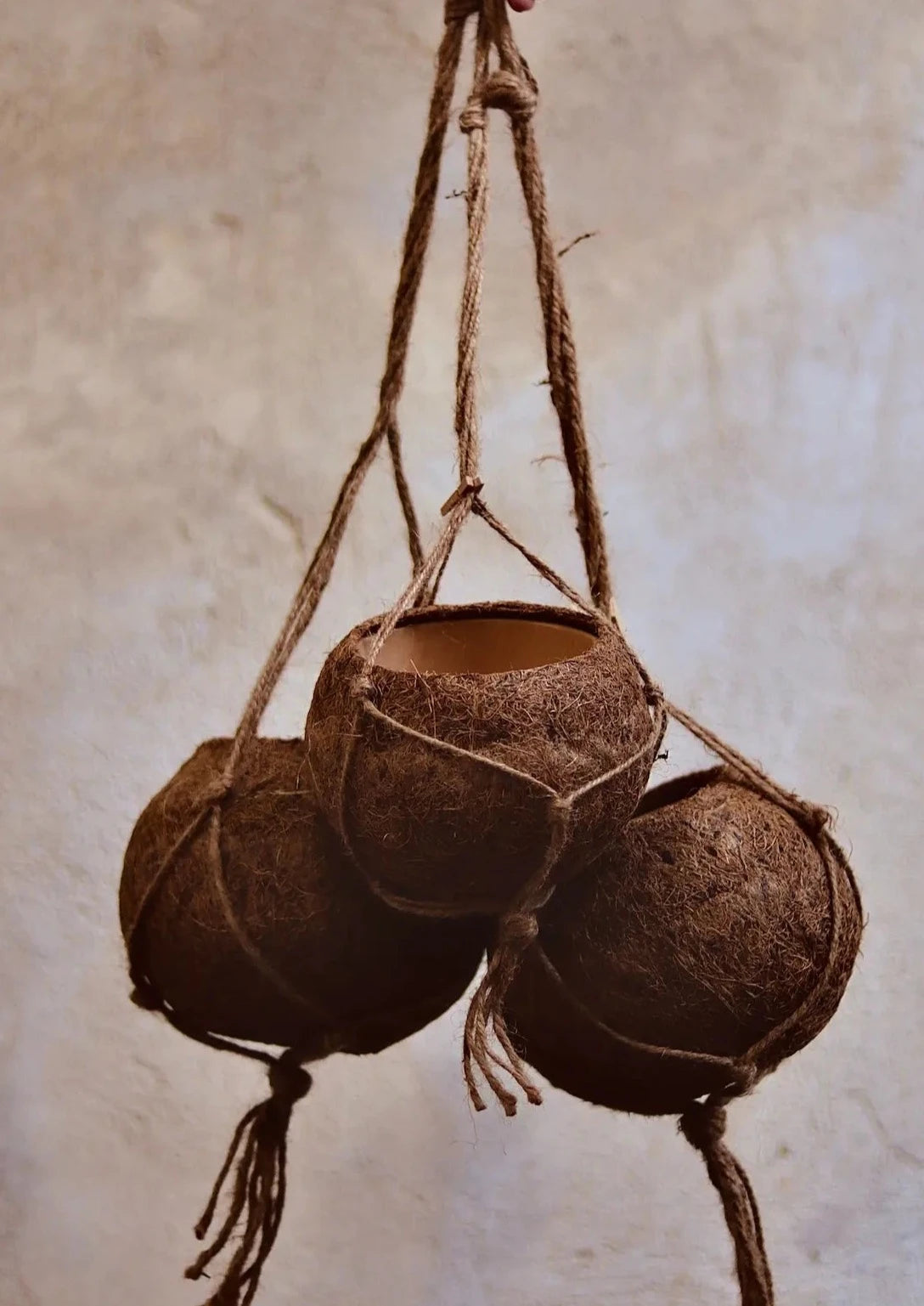 pot en fibre de coco naturelle. pot de fleurs à suspendre.pour plante a suspendre. Kipok