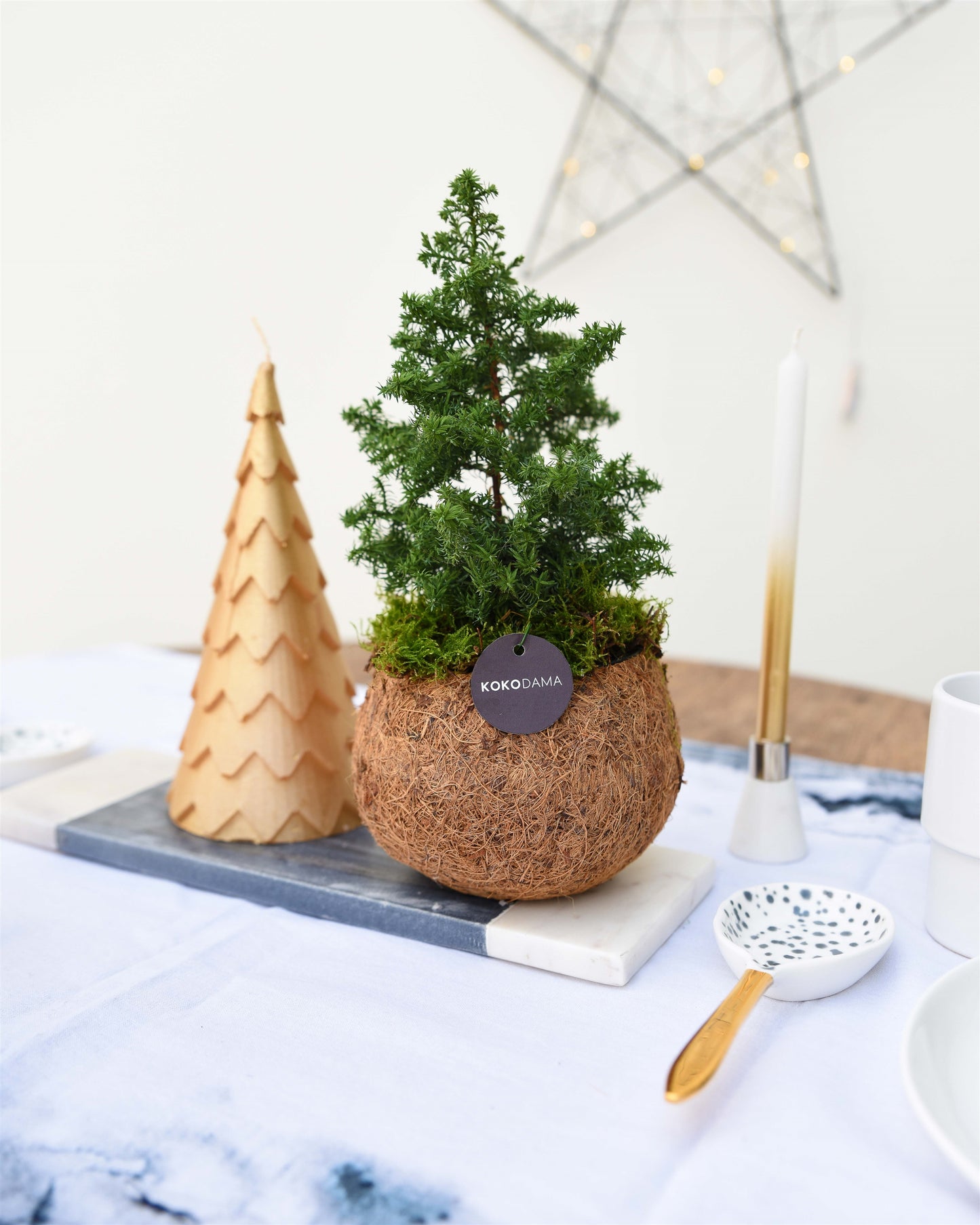 Petit sapin noel en fibre de coco sur une table. petit pot plante sapin a suspendre. sapin naturel a décorer soi même. Petit sapin naturel. Kipok. vente et livraison de sapin en France.