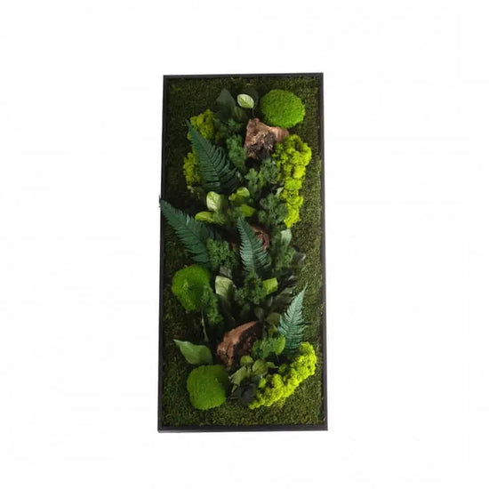 Tableau vegetal stabilisé avec cadre noir accroche au dos. Mousse naturelle et plantes naturelles stabilisés une composition florale. KiPOK