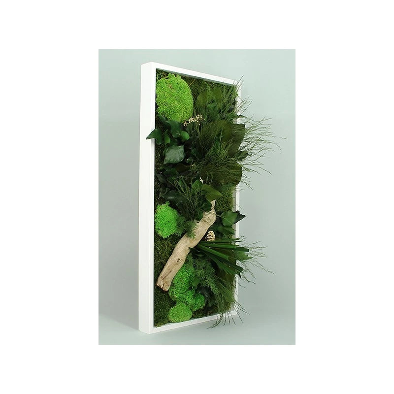 tableau vegetal naturel avec plantes et mousse satabilise. décoration naturel murale. Kipok