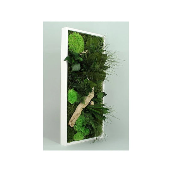 tableau vegetal naturel avec plantes et mousse satabilise. décoration naturel murale. Kipok