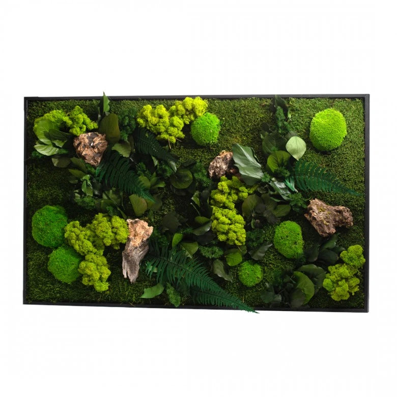 Tableau végétal stabilisé hexagonal- Déco végétale murale KIPOK