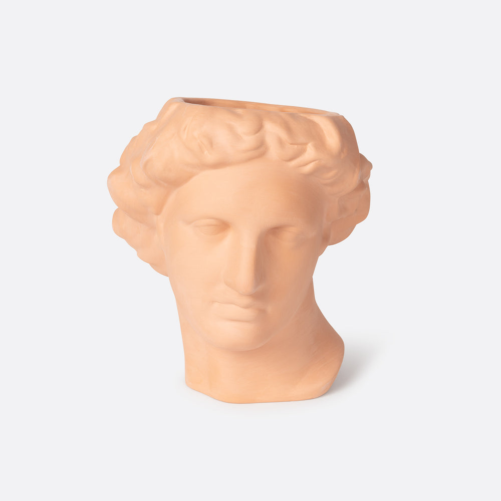 vase apollon terracotta  ceramique forme de visage. Vase terracotta design et moderne. idee decoration vase à poser sur une grande table ou dans un salon. Vase visage tendance. vase visage Dimension: 22,8 x 22,2 x 26 cm. Vase en  forme tete. Vase  pour decorer ou avec fleurs séchées.