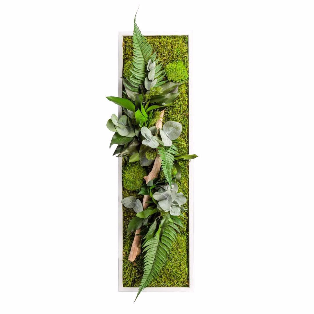 Grand tableau végétal stabilisé Saint Lô 35 cm - Tableau végétal stabilisé  - Artiplantes