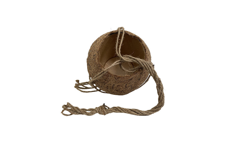 Kipok. Pot à suspendre en fibres de coco naturelles vide sans plantes. Le pot en coco naturelle pour planter petites plantes ou cactus. Le pot en coco pour plante. Cache pot en fibre naturelle. Plante suspendue et pot suspendu en coco. Kipok. plantes vertes à suspendre pots de fleur suspendues salon jardin pergola. Kipok. pot plante suspendu facile accrocher mur. les plante suspendu mur. Kipok  Modifier le texte alternatif