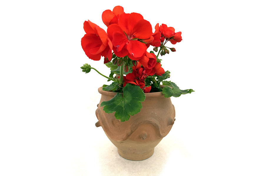Pot de fleur en terre cuite à l'intérieur plante géraniums rouge.  Pots de fleur art déco. Décoration année 20. Pot de fleurs fabriqué main artisanal. Kipok. pot en terre cuite extérieur.