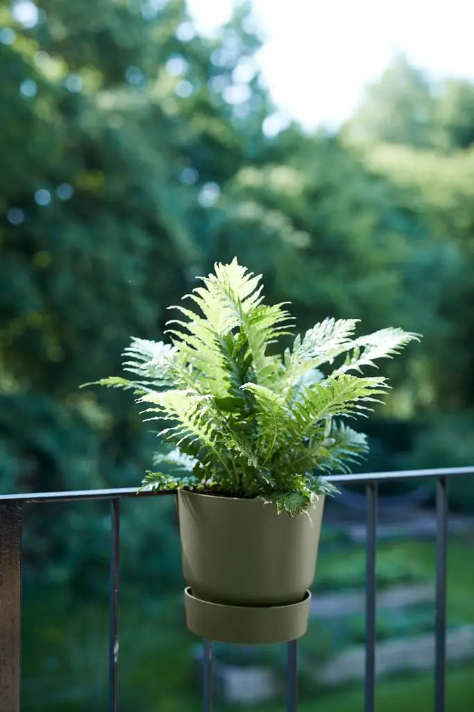 Pot de fleurs vert pour balcon et terrasse. Joli pot de fleur balcon pour plantes vertes. Pot en plastique pas cher. kipok.  Pour plante exterieur,  plante grasse pot pour fougère. Pot pour terasse et balcon. Pot design. Kipok