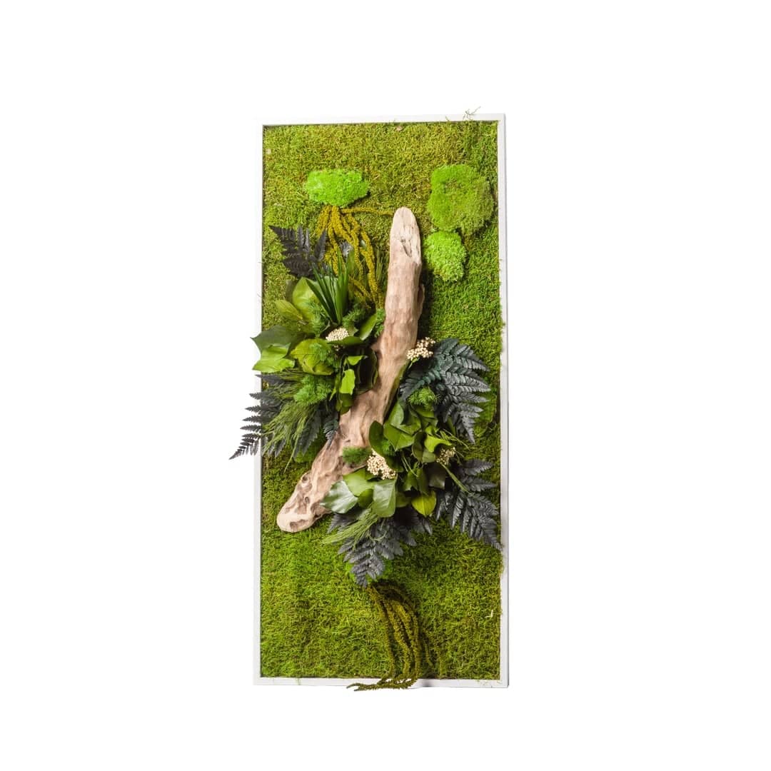 Tableau végétal plantes et mousses stabilisés cadre blanc. Tableau végétal mural accrocher dans bureau ou salon. Tableau végétal naturel 40 cm / Hauteur 90 cm. KIPOK . Mur végétal taille moyen carré. Kipok. Tableau vertical avec des plantes verte naturelle. 