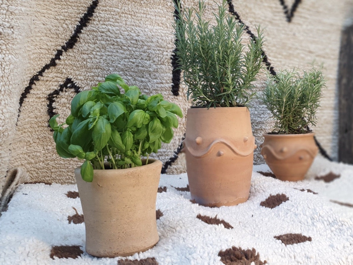 Pots en céramique avec des plantes  aromatiques à l'intérieur. Les pots de fleurs  posés sur tapis berbères beige et marron. Décorer maison avec des pots artisanaux. Pot réalisé à la main. Kipok.