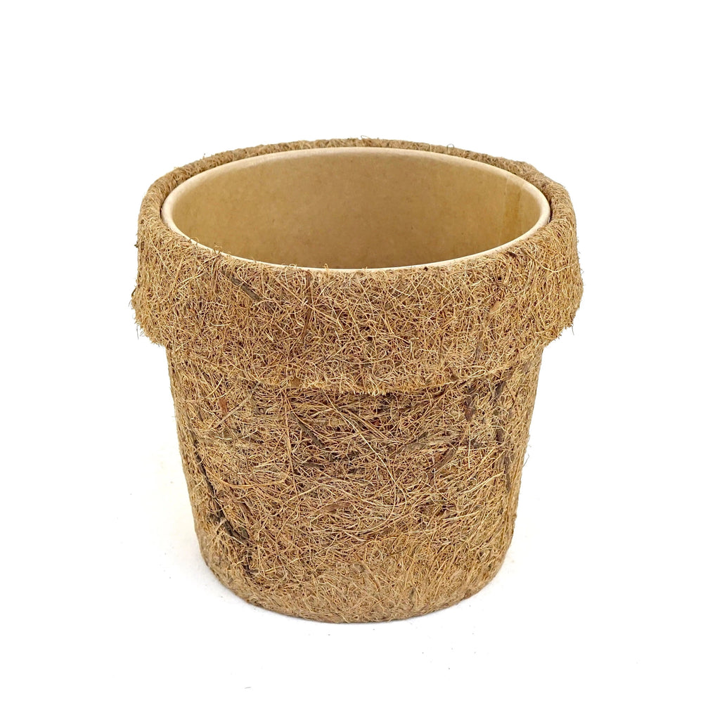 Pot de fleur en fibre de coco pour plantes. Le cache pot en fibre de coco tres léger. Pot de fleur  interieur  pour plantes verte. Pot très léger eco responsable. Kipok. cache pot 13 cm.  pot de fleur en fibre de coco. planter Kipok. petit cache pot. Pots de plantes en coco.