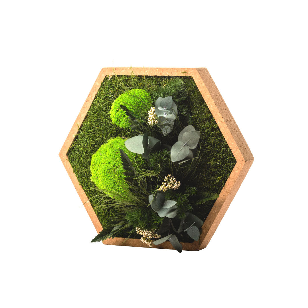 Tableau végétal stabilisé hexagonal- Déco végétale murale KIPOK