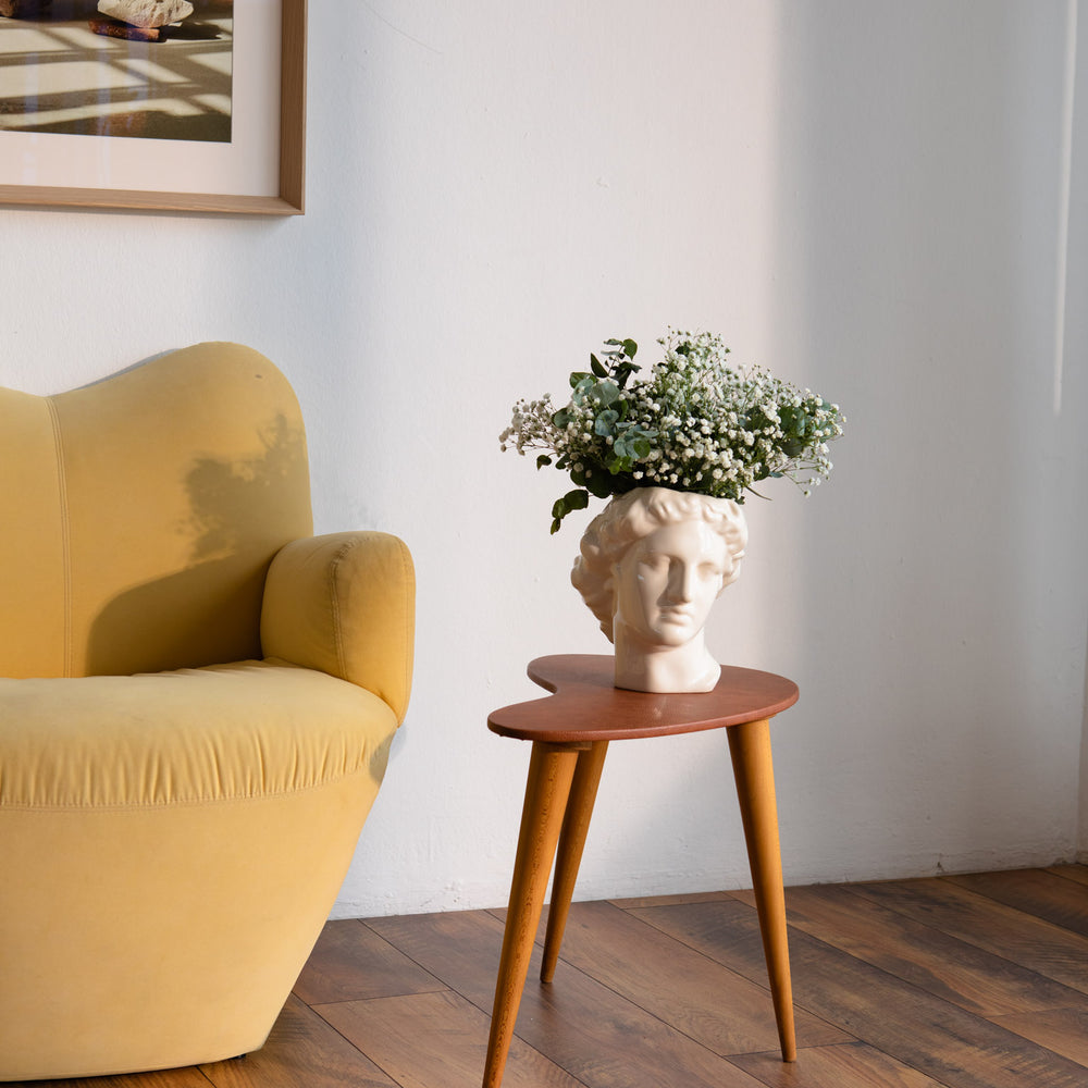 
                  
                    vase en céramique forme visage apollon.  Vase visage grec blanc sur une table de salon.  décorer avec ce vase votre intérieur. Vase tête statue. achat vase paris. Kipok. Vase tête. vase pot. Vase en céramique blanc.
                  
                